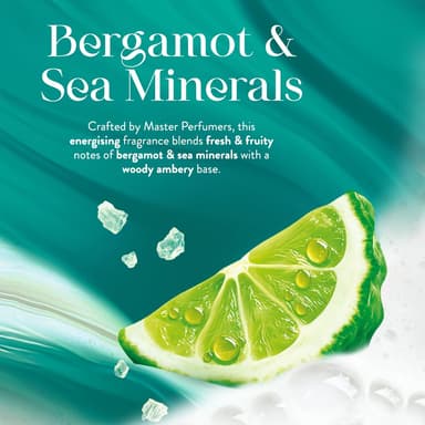 Imperial Leather Bergamot & Sea Minerals Foamburst Gel to Foam Body Wash Shower Gel, Rich Foaming Body Wash with Luxury Fragrance, Vegan & Cruelty Free (6 x 200ml) view 4