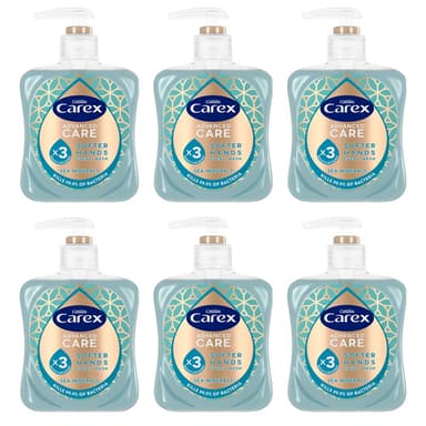 Carex Advanced Care Sea Minerals Antibacterial Hand Wash, 3x More Moisturisers, Clean & Protect Hands, Bulk Buy, Pack of 6 x 250ml view 1