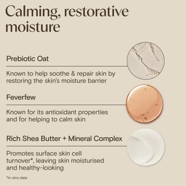 AVEENO Face CALM+RESTORE Re-Hydrating Night Cream (1 x 50ml), Fragrance-Free Face Care, Intensely Nourishes and Moisturises with Shea Butter, Prebiotic Oat and Calming Feverfew, For Sensitive Skin view 4