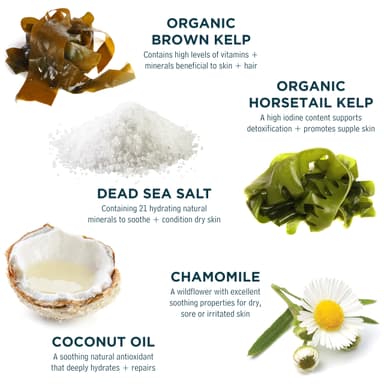 Sea Magik Conditioner for Dry or Damaged Hair - Infused with Hydrating Dead Sea Salt, Organic Seaweed, Coconut Oil, and More, Moisturiser for All Hair Types, Vegan, Cruelty Free (300ml) view 4